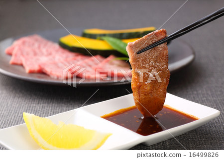 Grilled meat Grilled meat 16499826