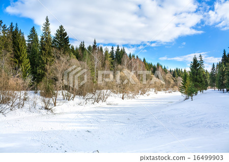 winter  landscape with the river and the forest winter  landscape with the river and the forest 16499903