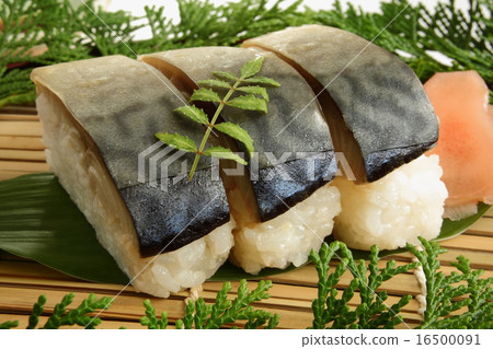 鯖魚壽司電池 16500091