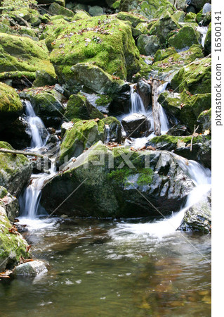 海澤谷 海澤谷 16500141