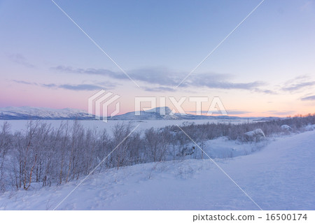 breaking Dawn breaking Dawn 16500174