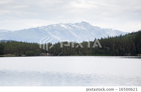 Lake Monsvatnet (Flatlandsmo, Voss, Norway) 16500621
