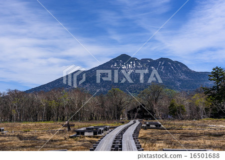 山間小屋和山 16501688