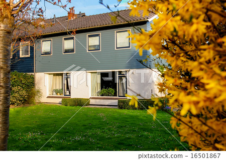 Green lawn in front of the Dutch house 16501867