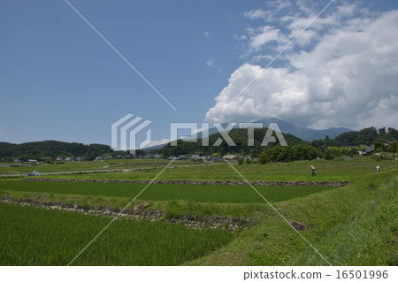 Scenery of the field Scenery of the field 16501996