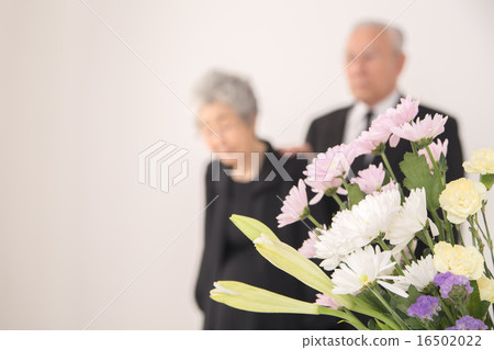 早上形式的高級 早上形式的高級 16502022