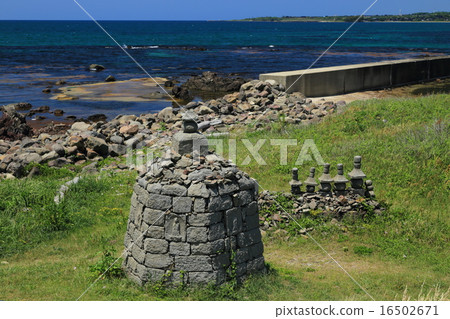 大島Kokendo六角美洲虎塔 16502671