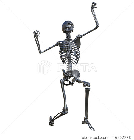 skeleton skeleton 16502778