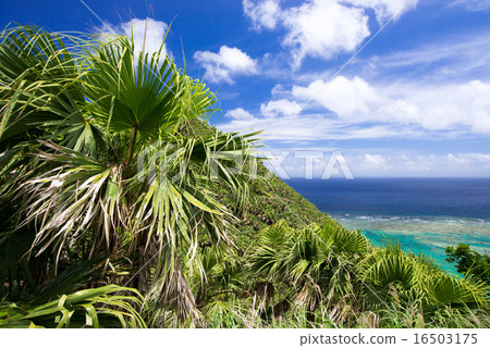 沖繩的風景·Iheya島·Hisayama的景色 16503175
