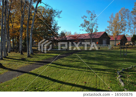 Yoichi Town · Nikka Whiskey Landscape with Storage 16503876