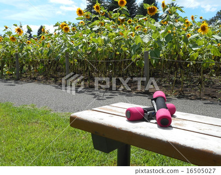 在長凳上的啞鈴 16505027