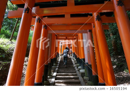 京都伏見稻荷神社的Senbon torii 16505194