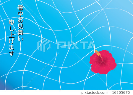 芙蓉的芙蓉漂浮在池中 芙蓉的芙蓉漂浮在池中 16505670