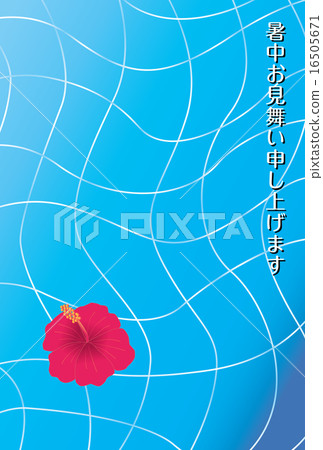 芙蓉的芙蓉漂浮在池中 芙蓉的芙蓉漂浮在池中 16505671