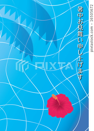 芙蓉的芙蓉漂浮在池中 16505672