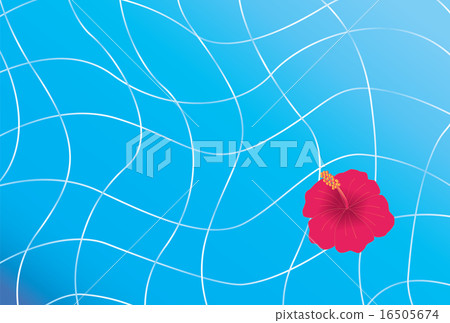 漂浮在水池賀卡的木槿 漂浮在水池賀卡的木槿 16505674
