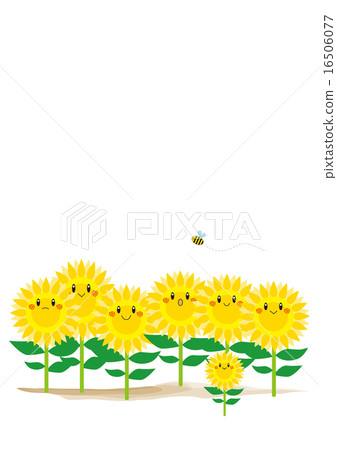 Himawari family 16506077