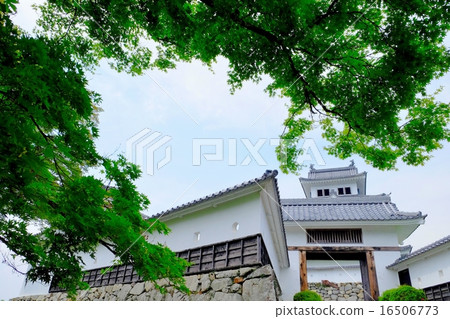 Gujo Hachiman Castle (23) 16506773