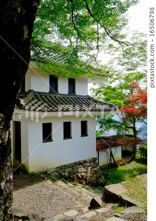 Gujo Hachimanjo castle (48) 16506798