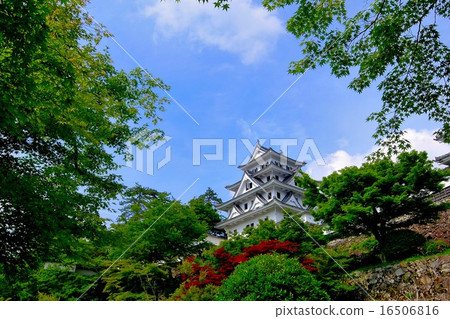 Gujo Hachimanjo castle (65) 16506816