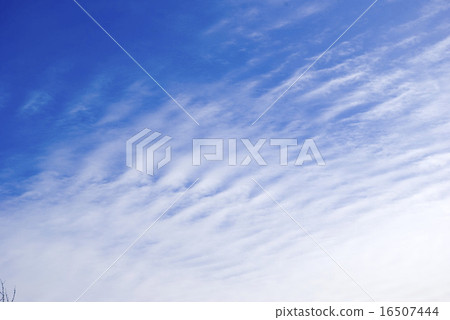 Sky 16507444