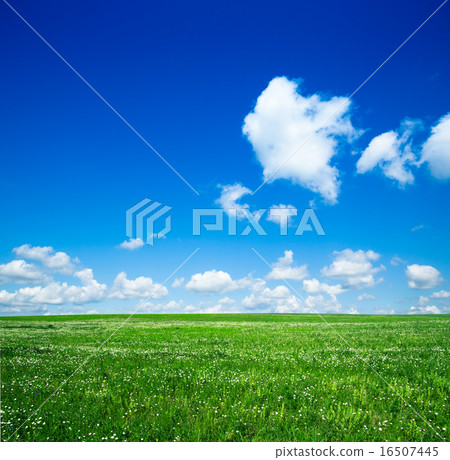 field field 16507445