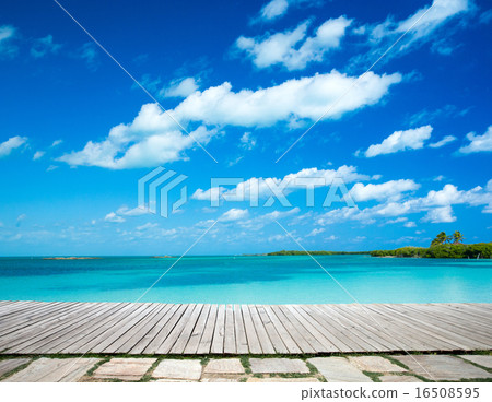 tropical sea 16508595