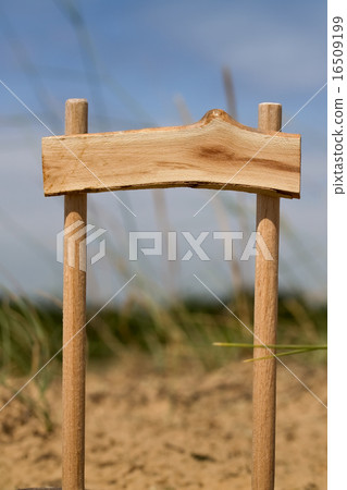 Wooden Pointer in Forest Wooden Pointer in Forest 16509199