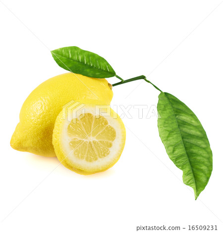 Fresh lemon fruit isolated 16509231