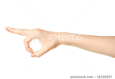 Female caucasian hand gesture isolated Female caucasian hand gesture isolated 16509267