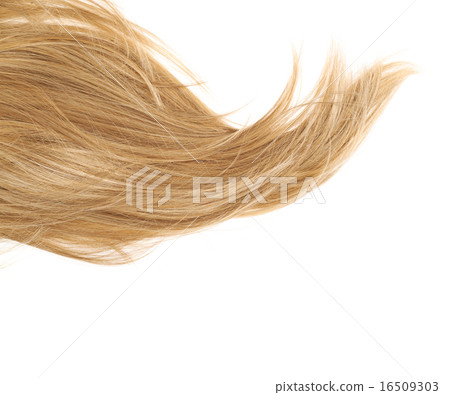 Hair fragment over the white 16509303