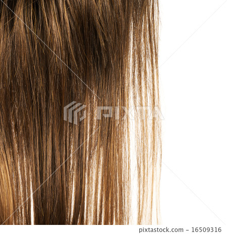 Hair fragment over the white 16509316