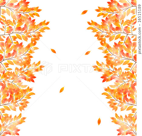 Maple autumn leaves background 16515189