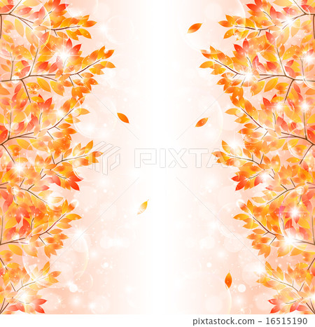 Maple autumn leaves background Maple autumn leaves background 16515190