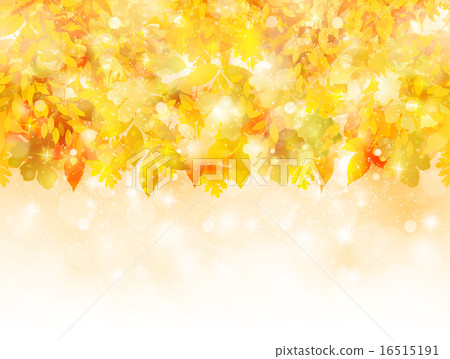 Maple autumn leaves background 16515191