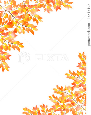 Maple autumn leaves background 16515192