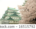 Nagoya castle and cherry blossoms 16515792