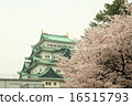 Nagoya Castle and Sakura Copy Space 16515793