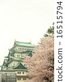 Nagoya Castle and Sakura 16515794