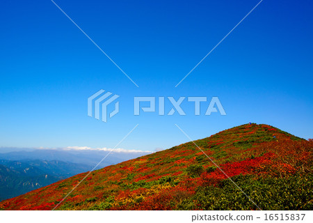 Autumn leaves of Mt. Kurikoma Autumn leaves of Mt. Kurikoma 16515837