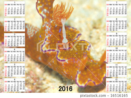 2016年日曆 16516165