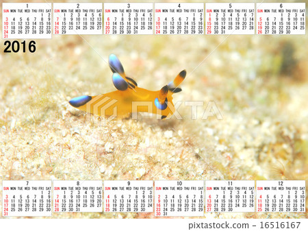 2016 calendar 2016 calendar 16516167