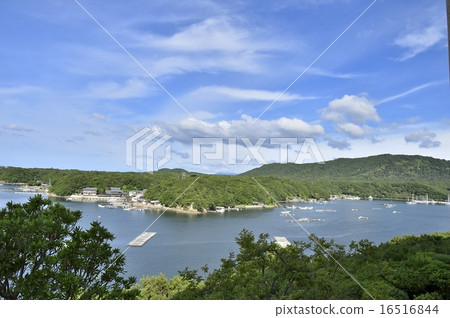 Kashima Kashima 16516844