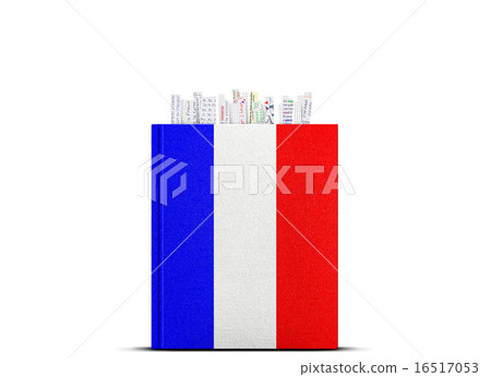 French language 16517053