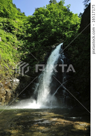 Shirakami mountain · Dark gate waterfall No. 3 waterfall 16517175