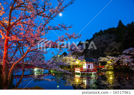 茂原公園夜景 16517961