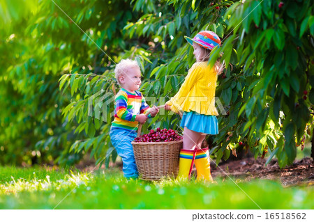 Funny little toddler girl playing with a snow 16518562
