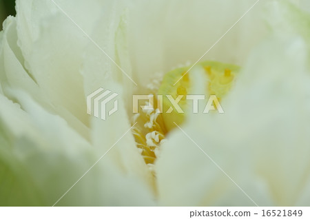 黃琳 黃琳 16521849