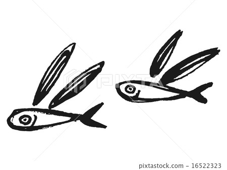 Flying fish 16522323