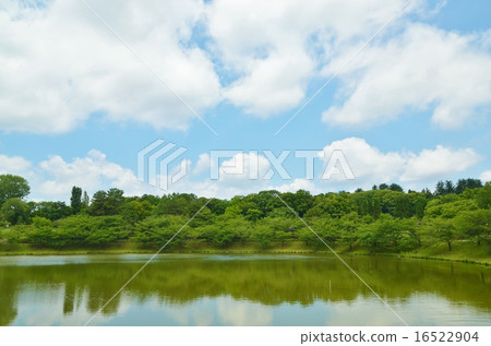 池塘和天空 16522904